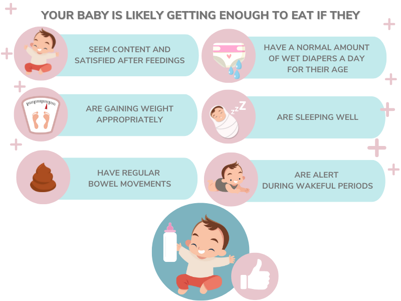 Baby and Infant Feeding Schedules for Food Types