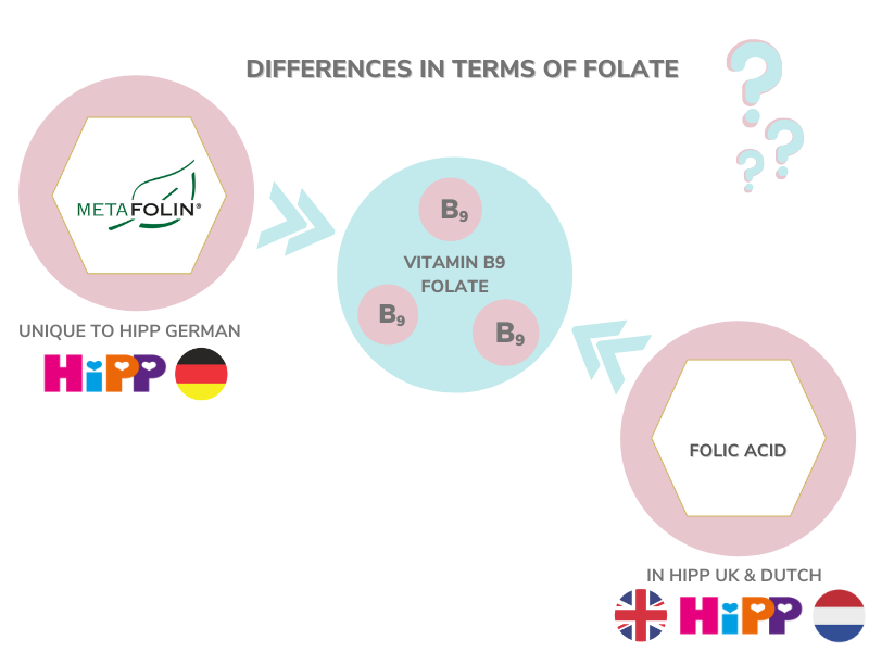 HiPP Formula: Differences in Terms of Folate