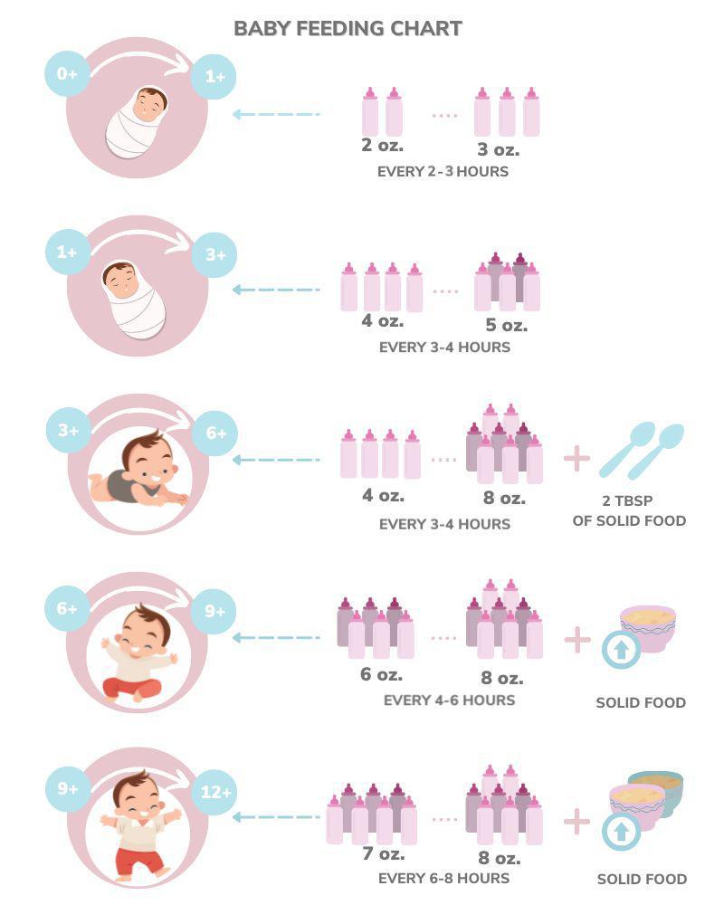 Newborn and Baby Feeding Chart in the 1st Year