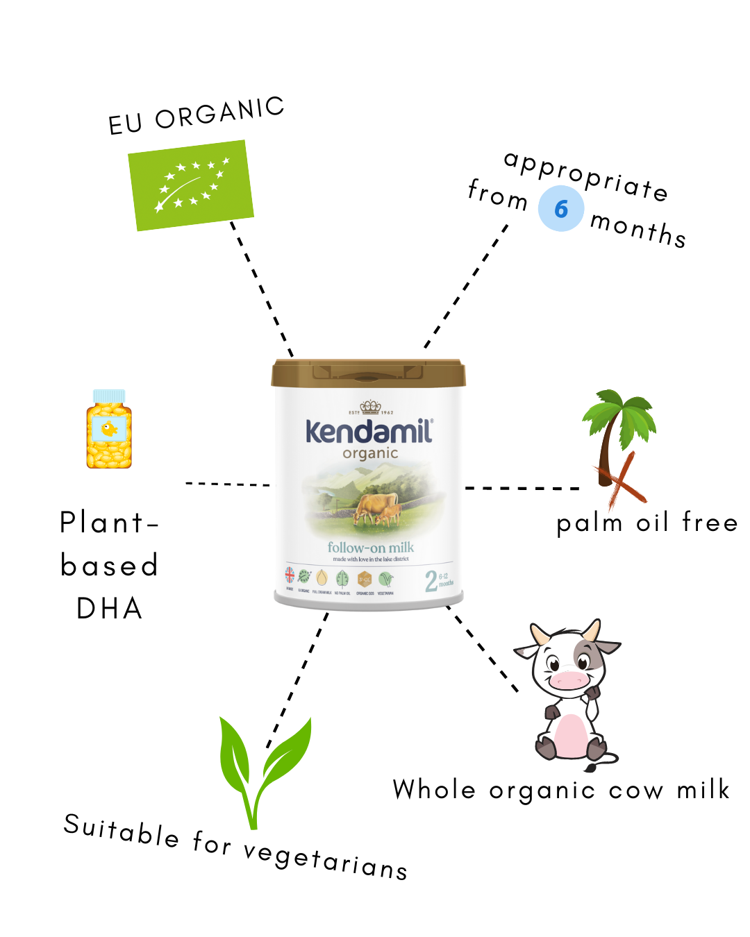 “kendamil-cow-stage-2-infographic”