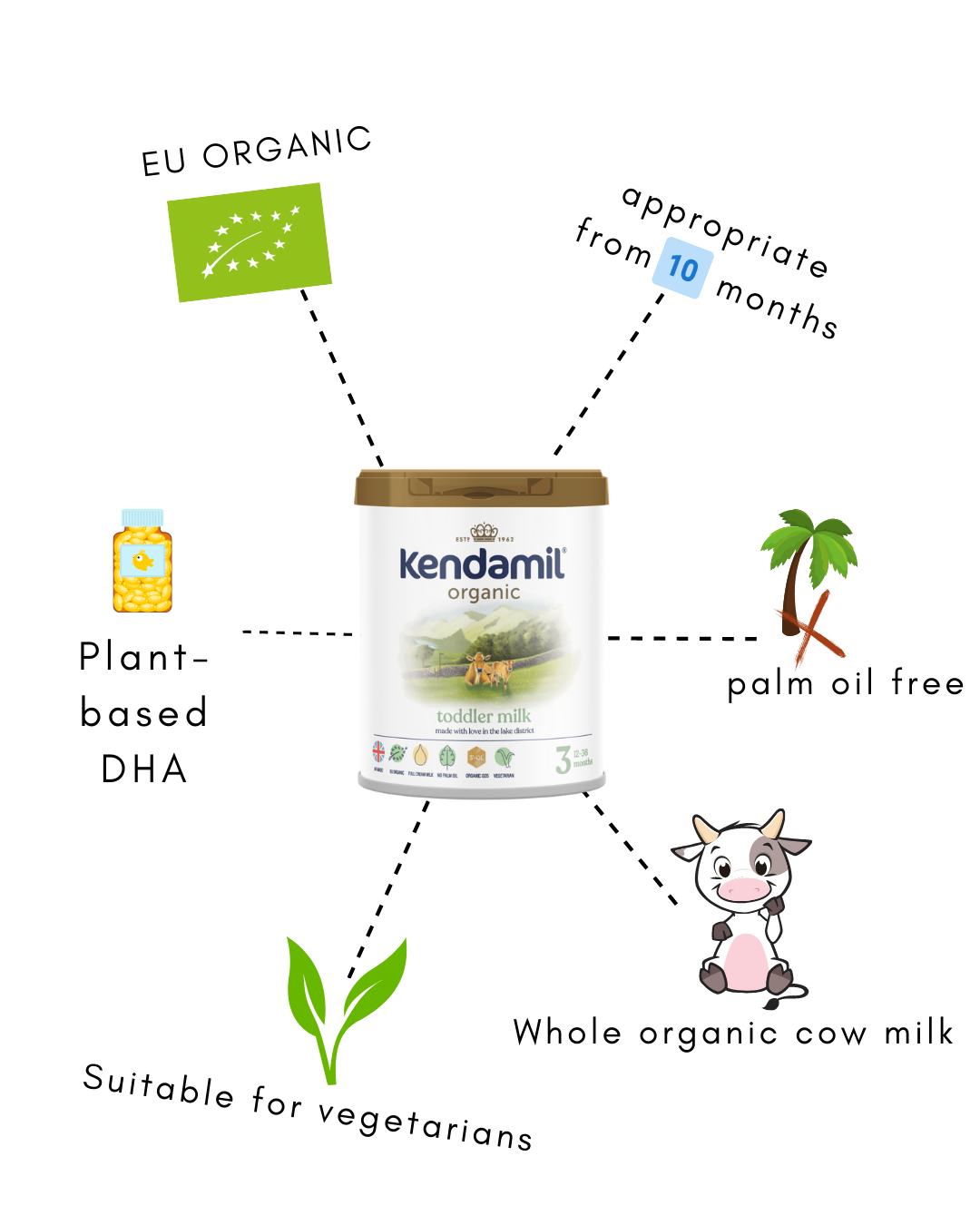 “kendamil-cow-stage-3-infographic”