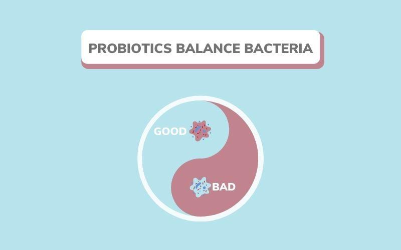 Probiotics balance bacteria