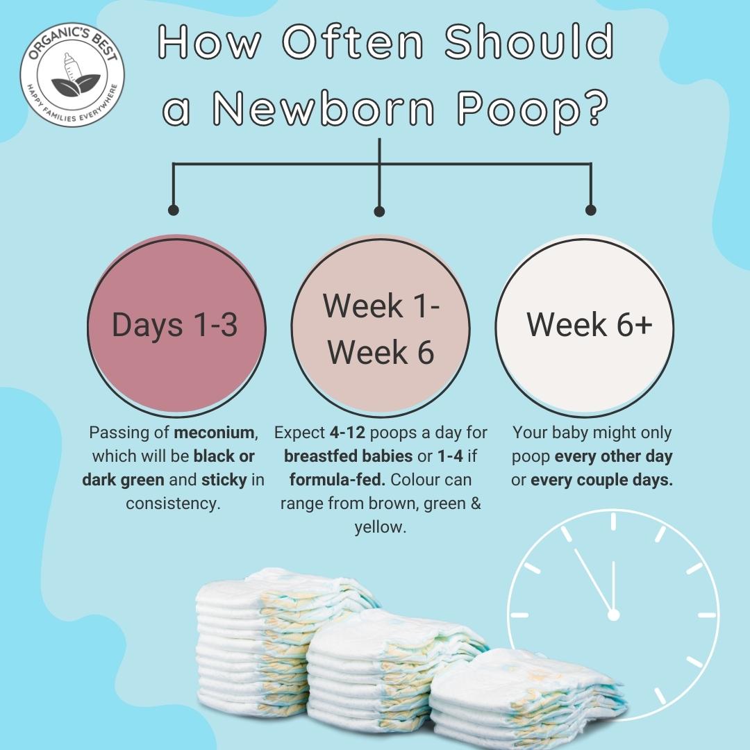 what kind of newborn poop you can expect in their first weeks | Organic's Best