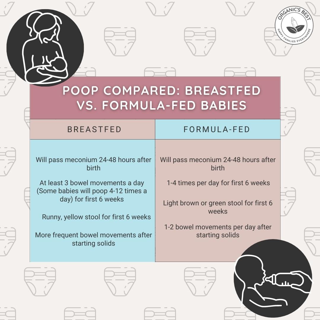 Poop Compared: Breastfed vs. Formula-Fed Babies | Organic's Best