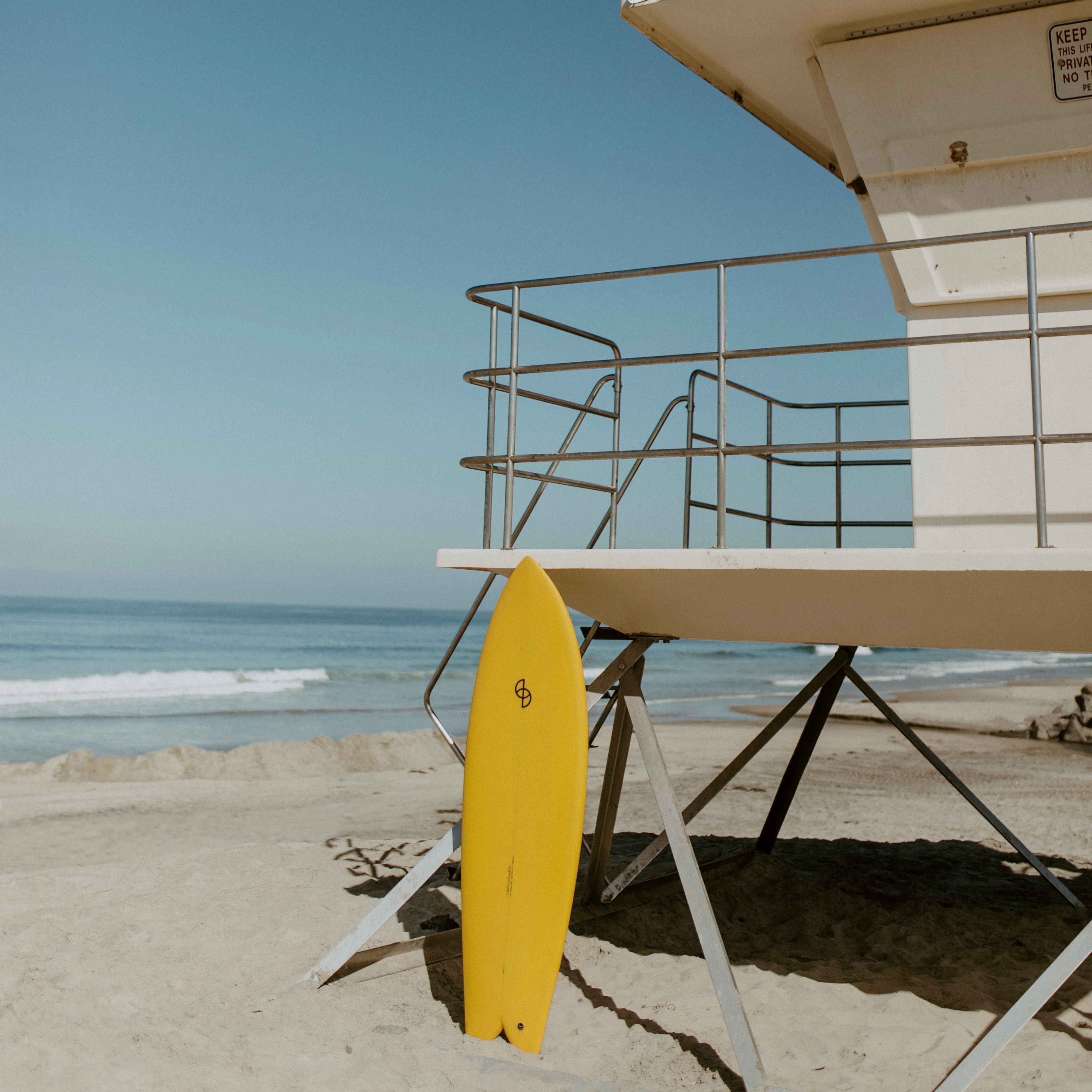 Seaesta Surf x Rob Machado Surfboards / Golden Smile / Boardshorts