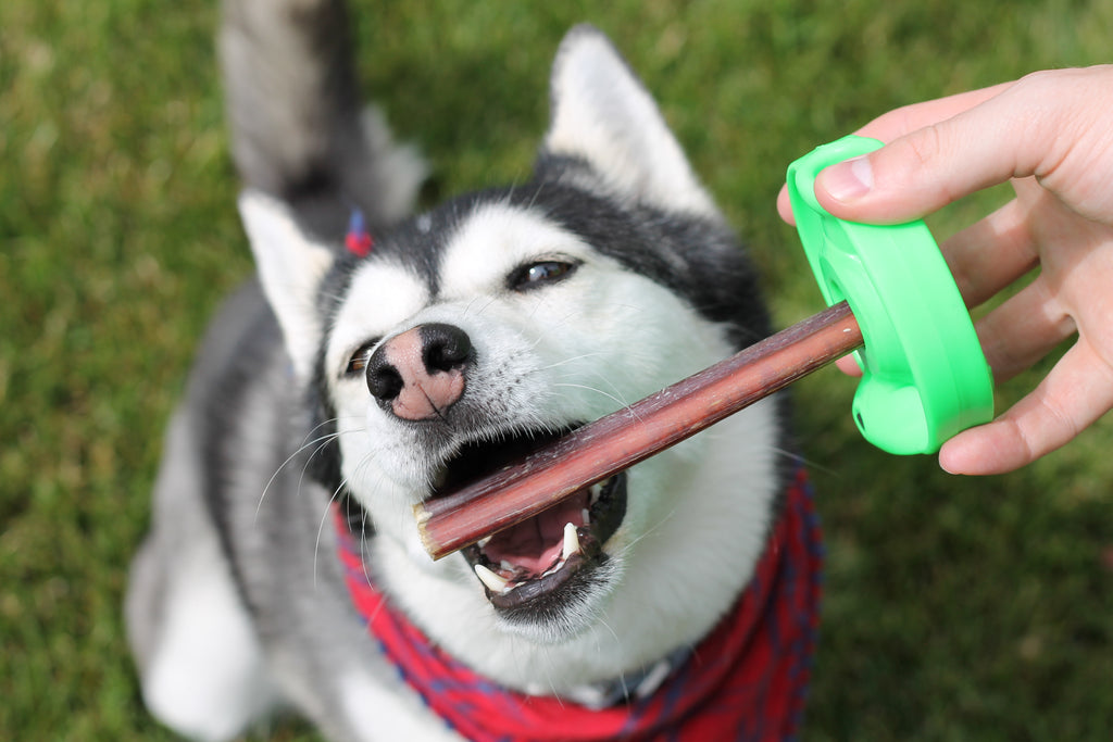 safe dog chews for aggressive chewers