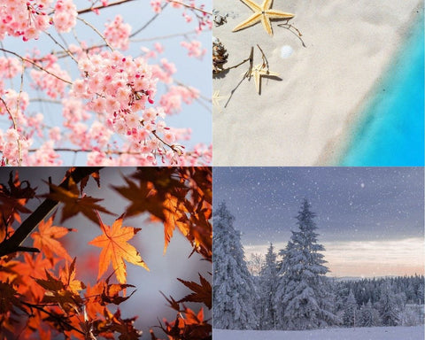 Four Seasons