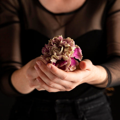 preserved flower handling care