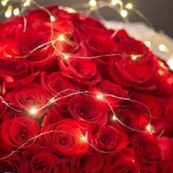 fairy lights with roses