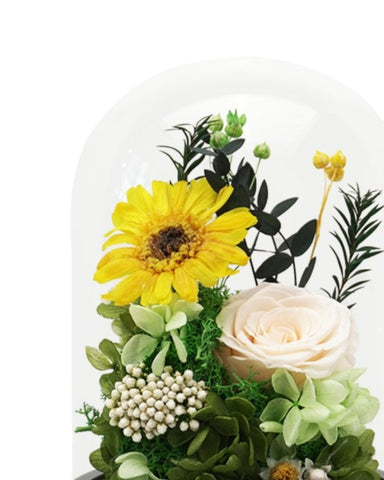Gerbera Daisy Dome - Yellow - Flower - Preserved Flowers & Fresh Flower Florist Gift Store
