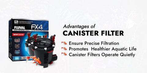 advantages of canister filter