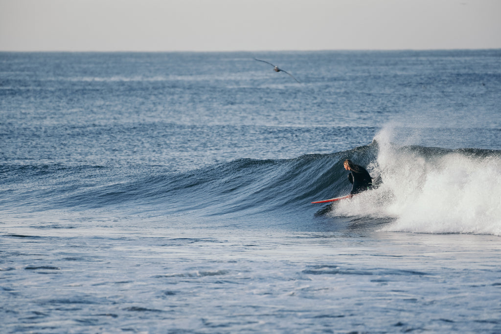 deana surfing right her waves oceanside