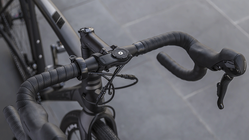 quad lock pro mount