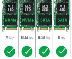 PCIe M.2 NVME SATA SSD Duplicator EZ Dupe