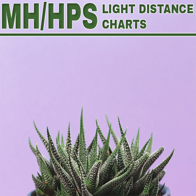 Hps Light Chart