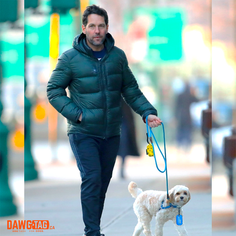 Paul Rudd and his dog wearing a DawgTag