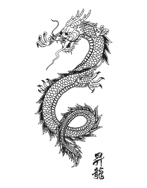 Chinese Asian Dragon Vinyl Wall Decal Sticker. #396 | StickerBrand