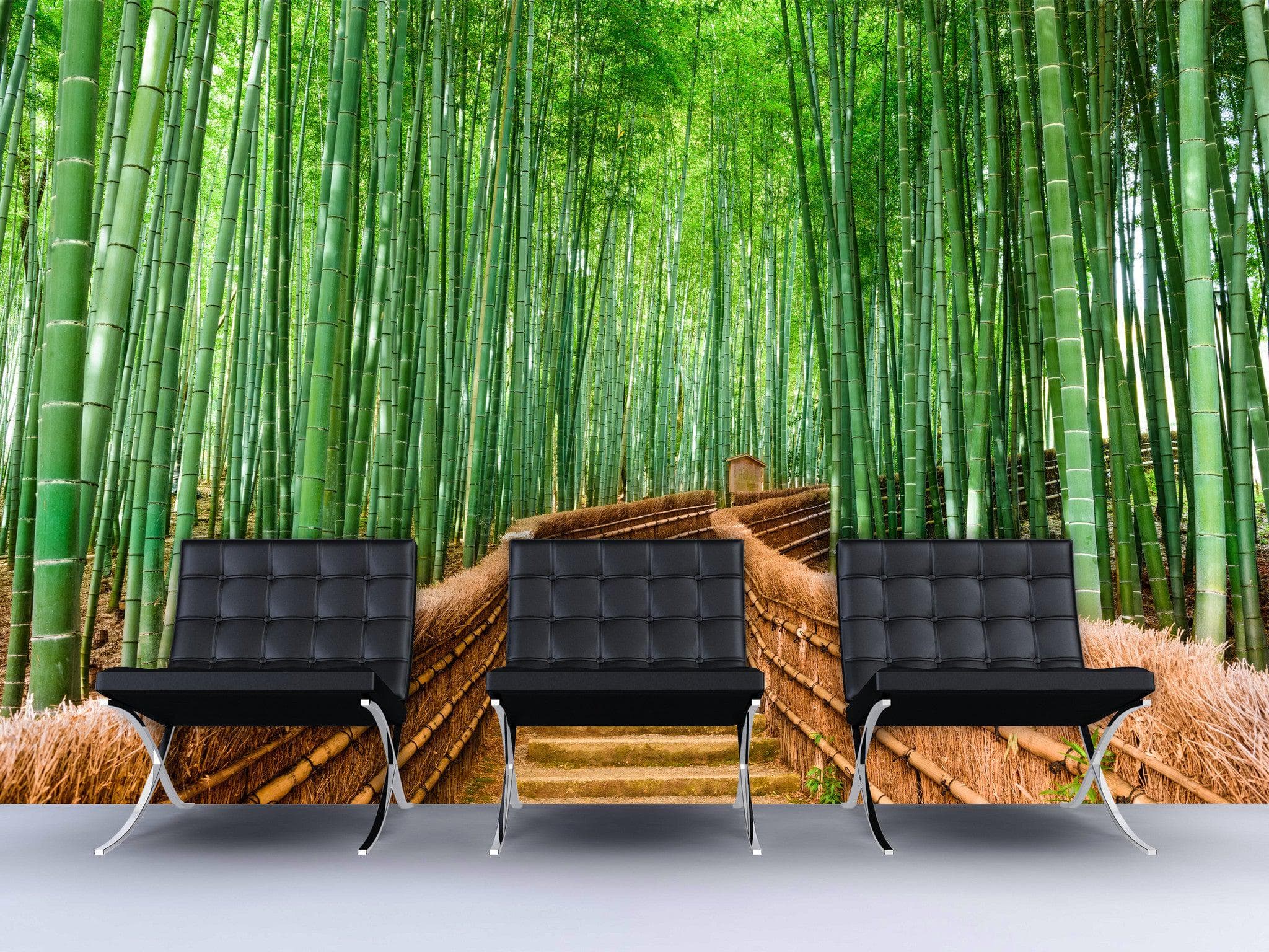  Bamboo Forest Wall Mural  6043