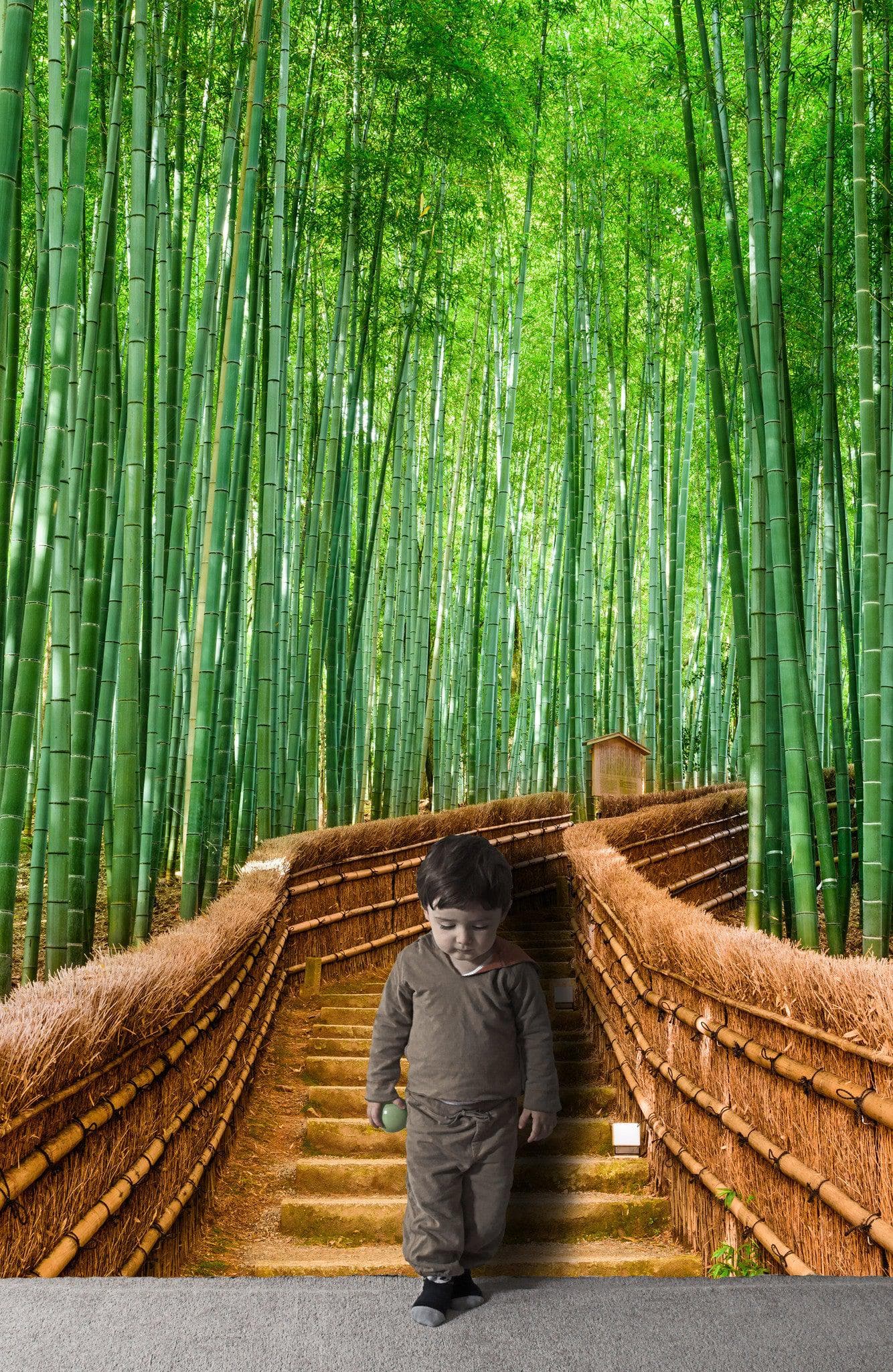  Bamboo Forest Wall Mural  6043