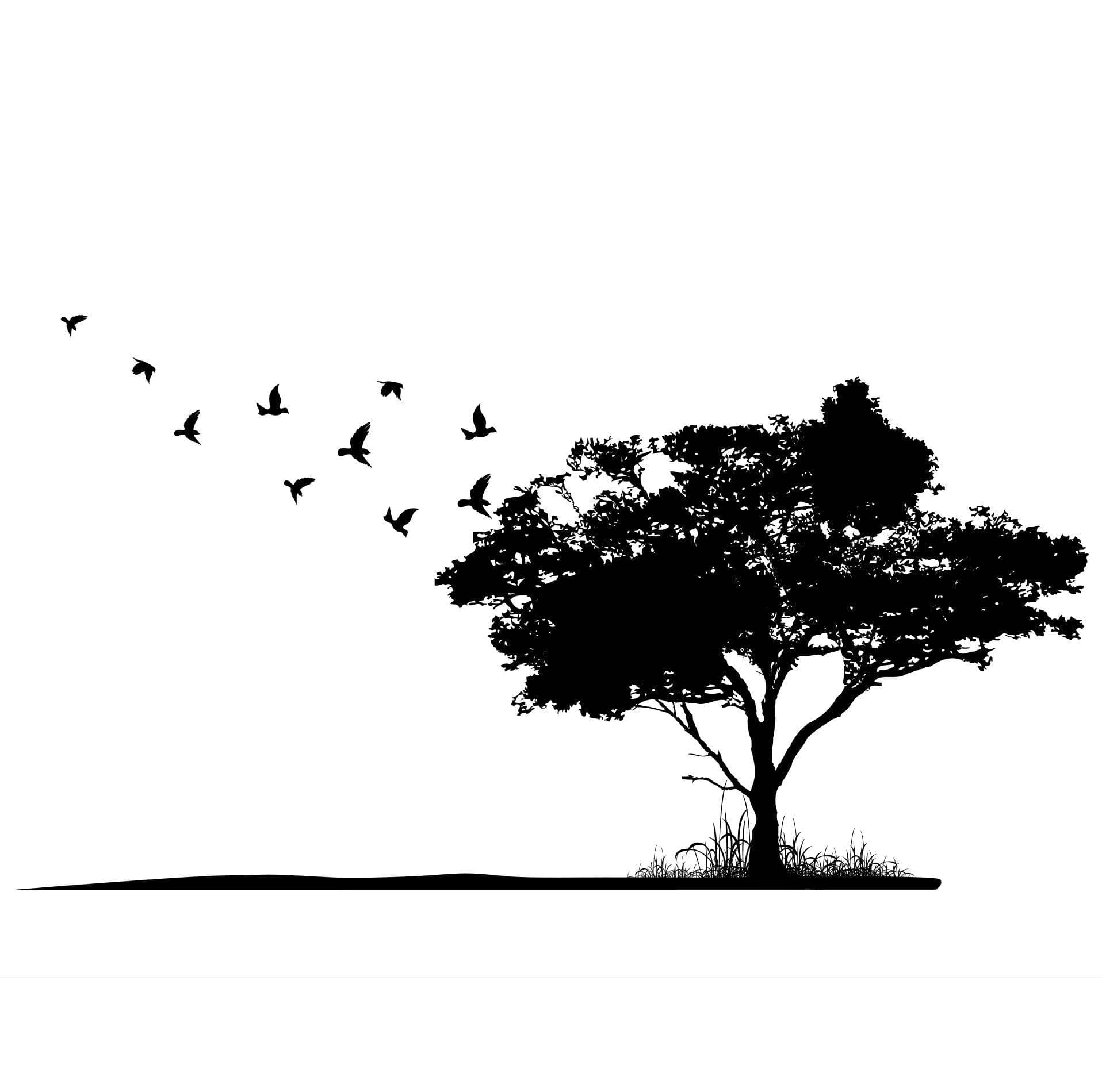 Птицы улетают с дерева вектор