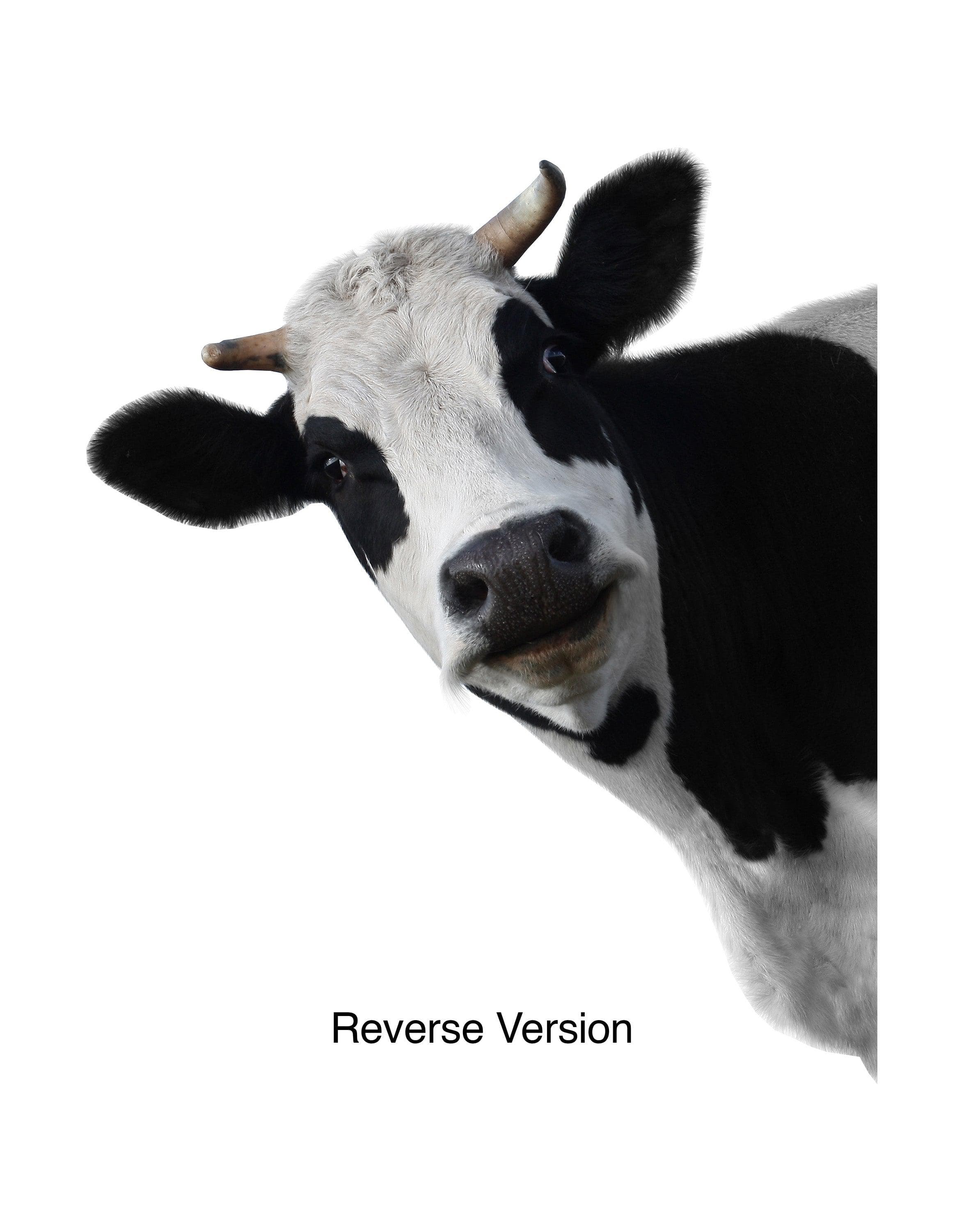 Peeking Cow Wall Decal Color Graphics. #6266