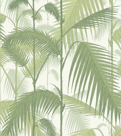 Ivory olive green striped wallpaper texture seamless 11782