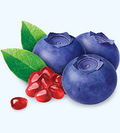 Naturally Tasty – <p>A juicy blend of blueberry and pomegranate</p>

