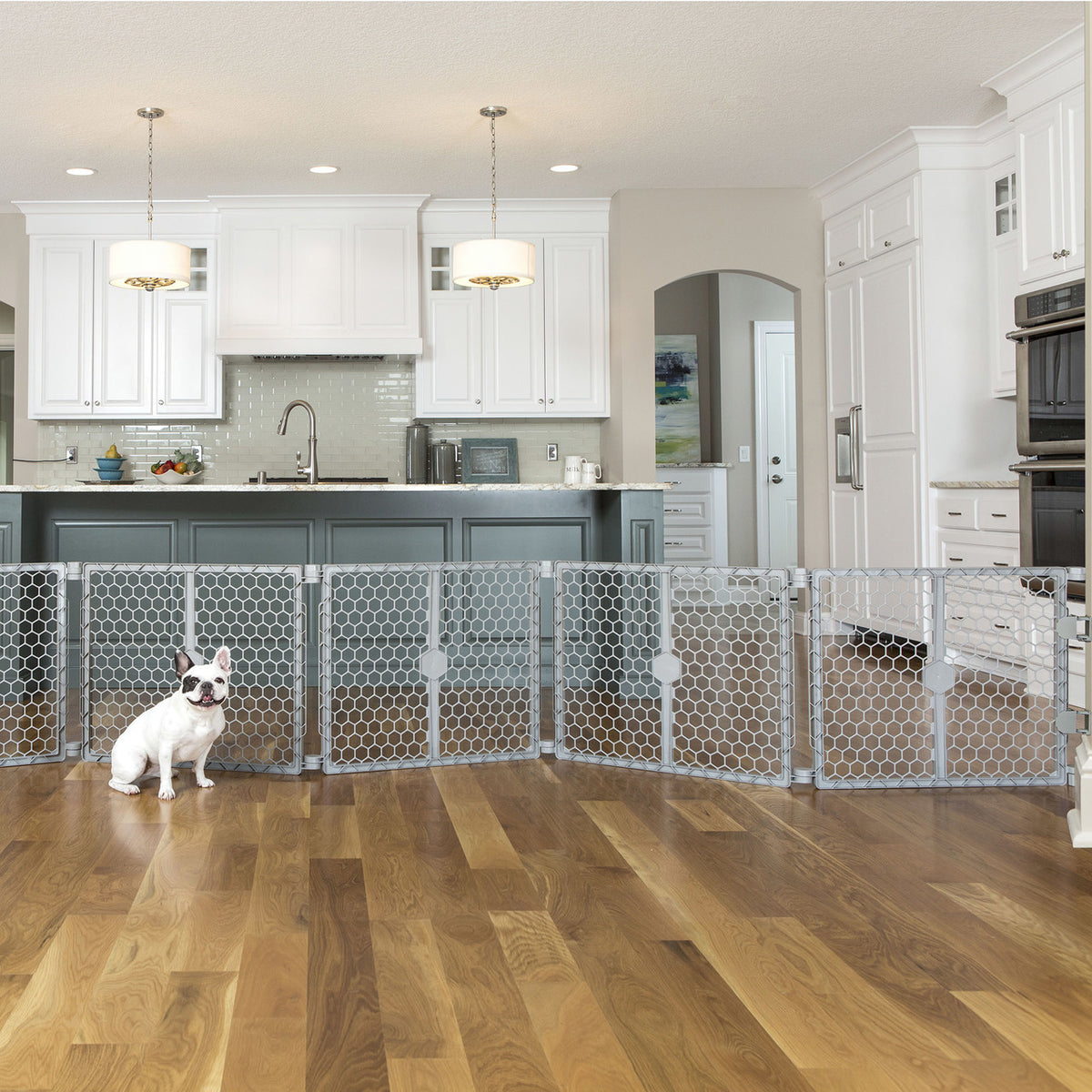 Carlson Pet 2 N 1 Plastic Gate And Pet Pen Athens Cullens