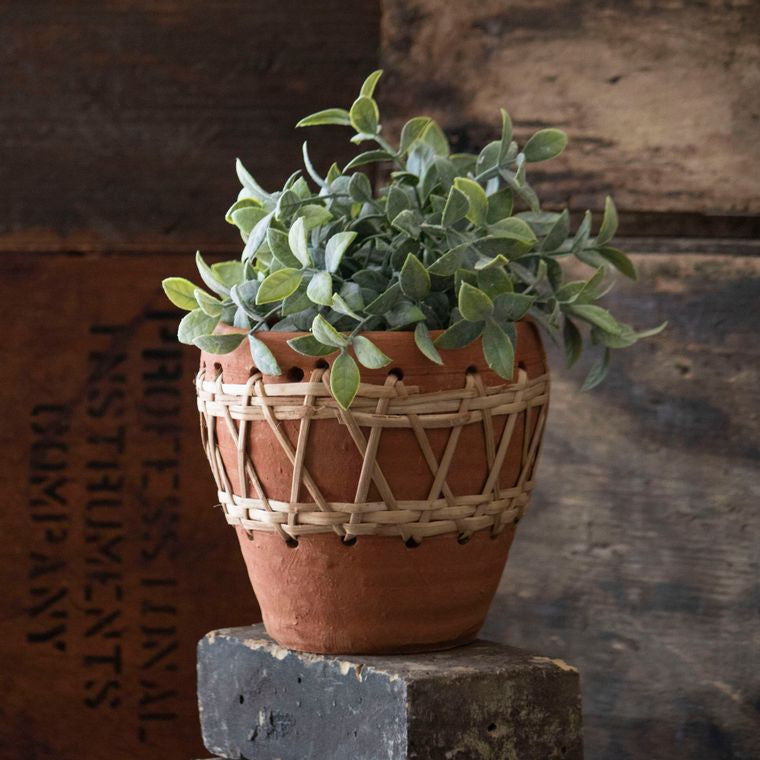 fotografie Doen voorjaar Handmade Terracotta Pot / Rustic Terracotta Planter – Miss Plant