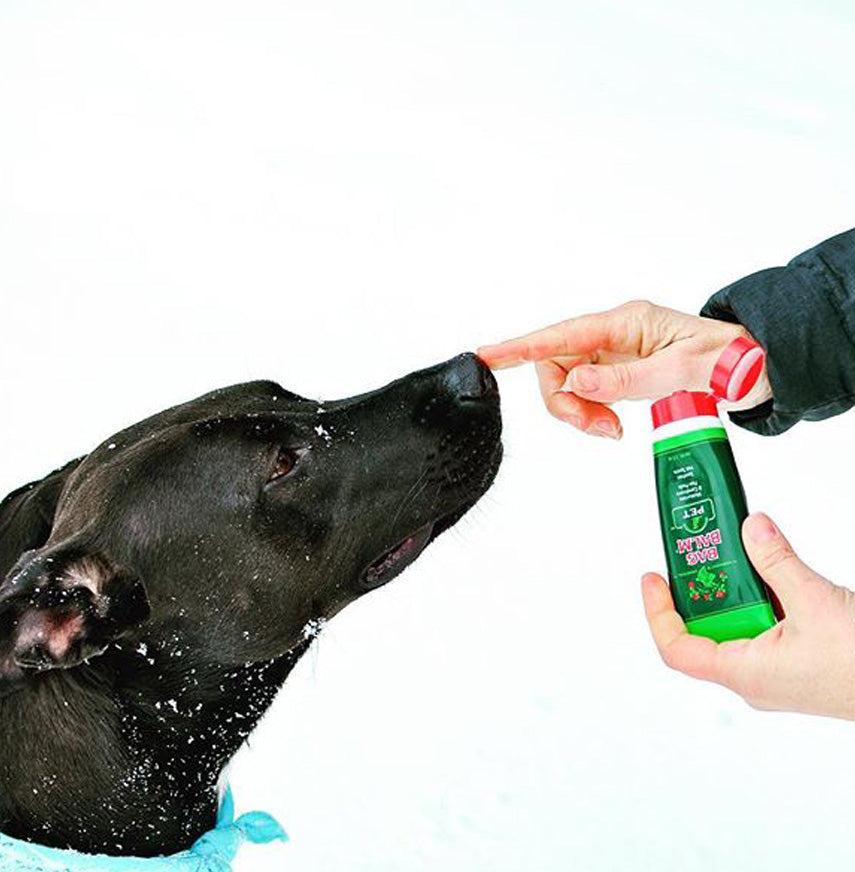 bag balm for dogs