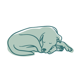 Dog Sleeping