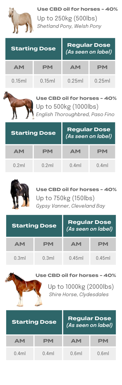 Horse Full Dose - Mobile.png__PID:f12a6c31-4c3b-4bb7-ba3d-dafc4560e533