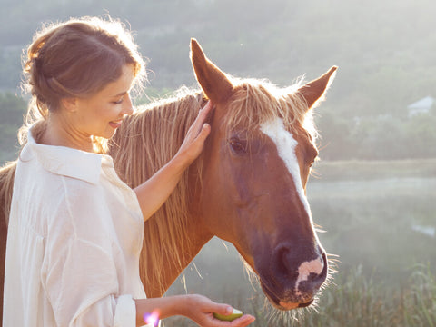 óleo de cbd para cavalos