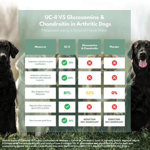 Summary of study looking at UC-II for dog arthritis