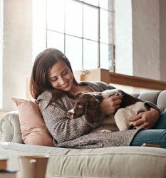 Cocker Spaniel schläft in den Armen des Besitzers