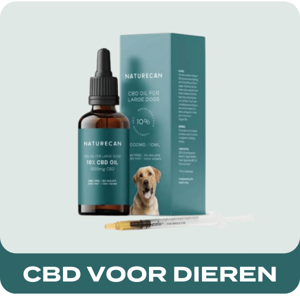 CBD druppels Kopen