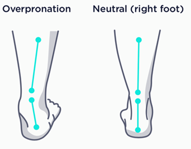 Pronation and Supination - Trial Exhibits Inc.