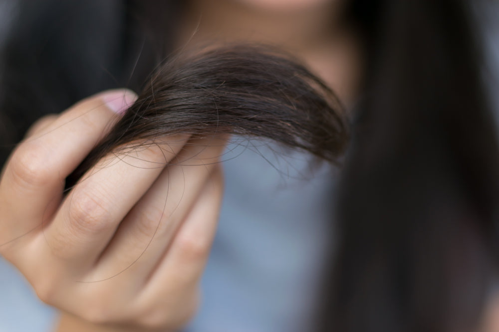 Close up female holding messy damaged dry hair in hands