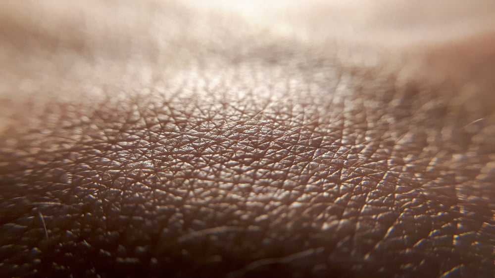 A picture of macro human skin