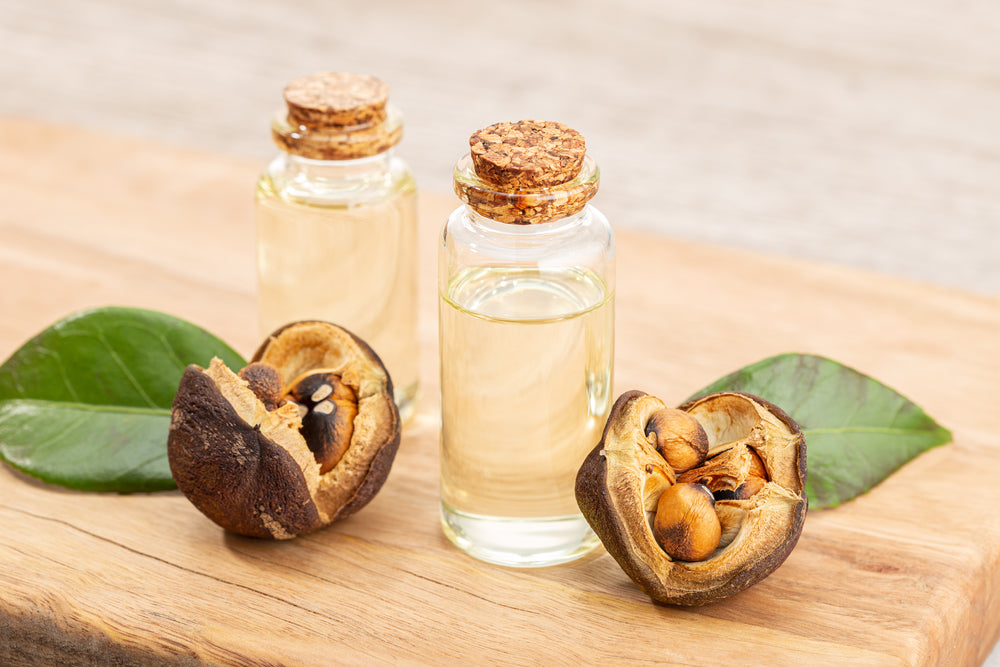 Camellia essential oil bottle and camellia seeds on wooden table