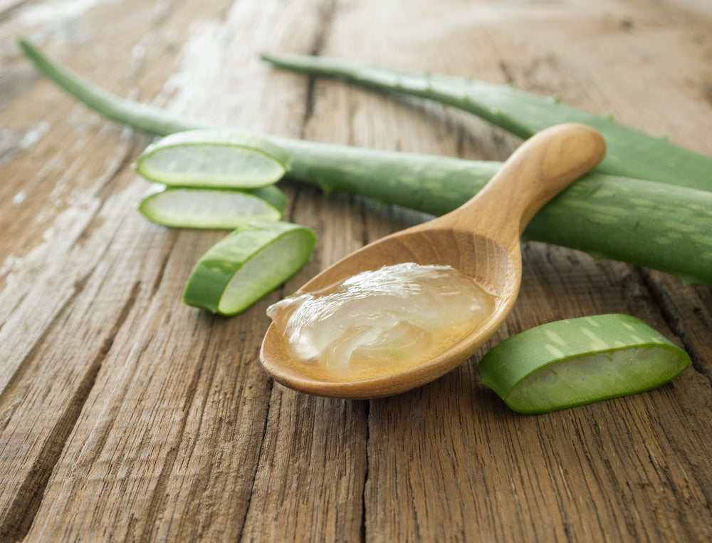 Aloe Vera gel on wooden spoon