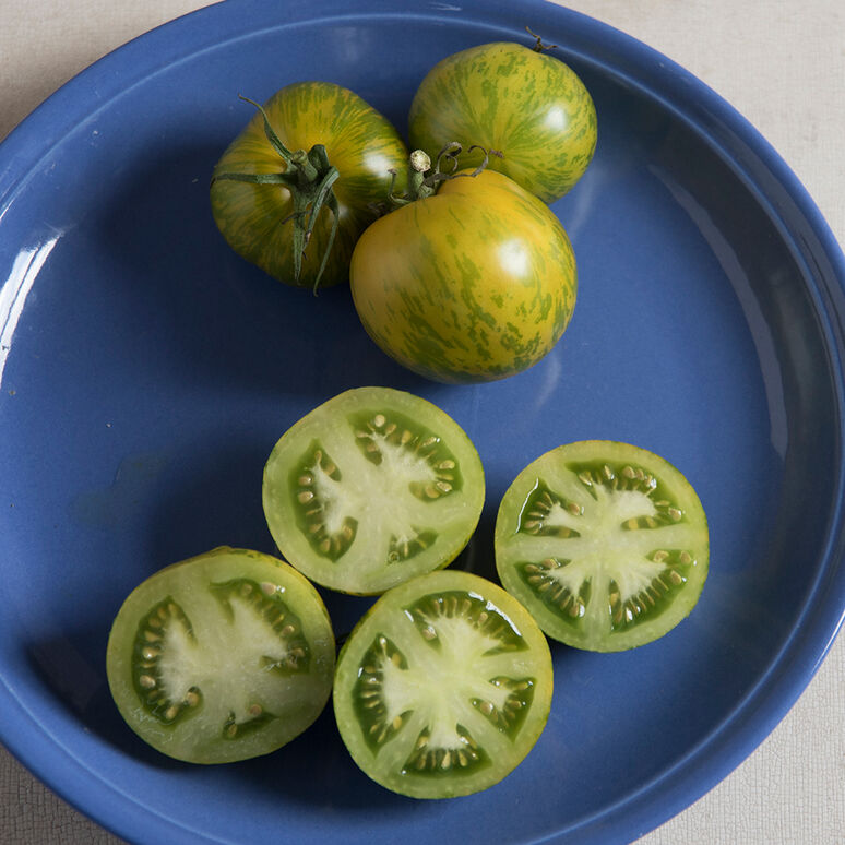 green zebra tomato beefsteak