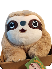 Send a Sloth in a Box Blog Post