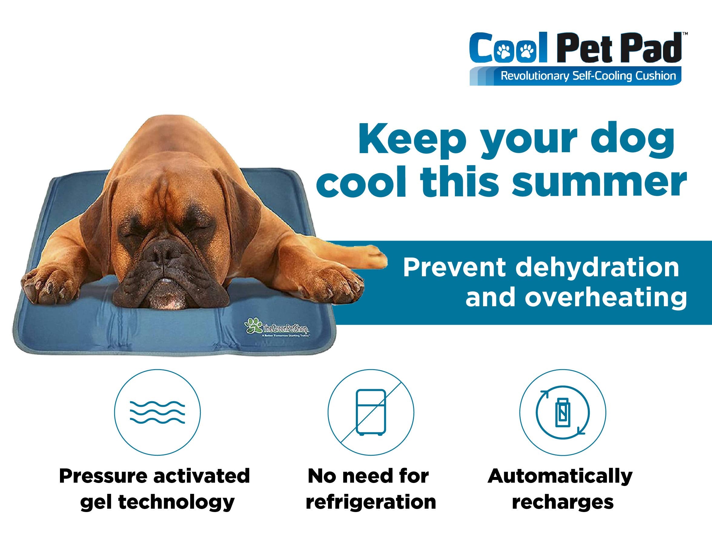 green pet shop dog cooling mat