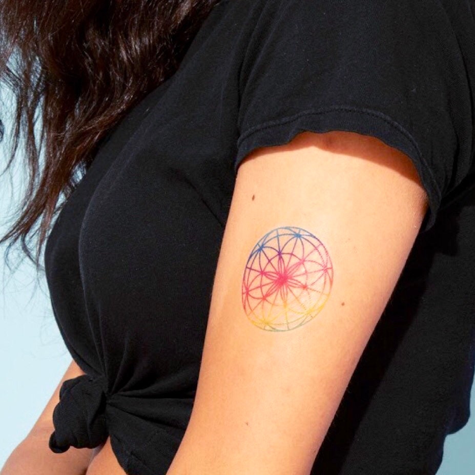 Sand dollar tattoo located on the inner arm