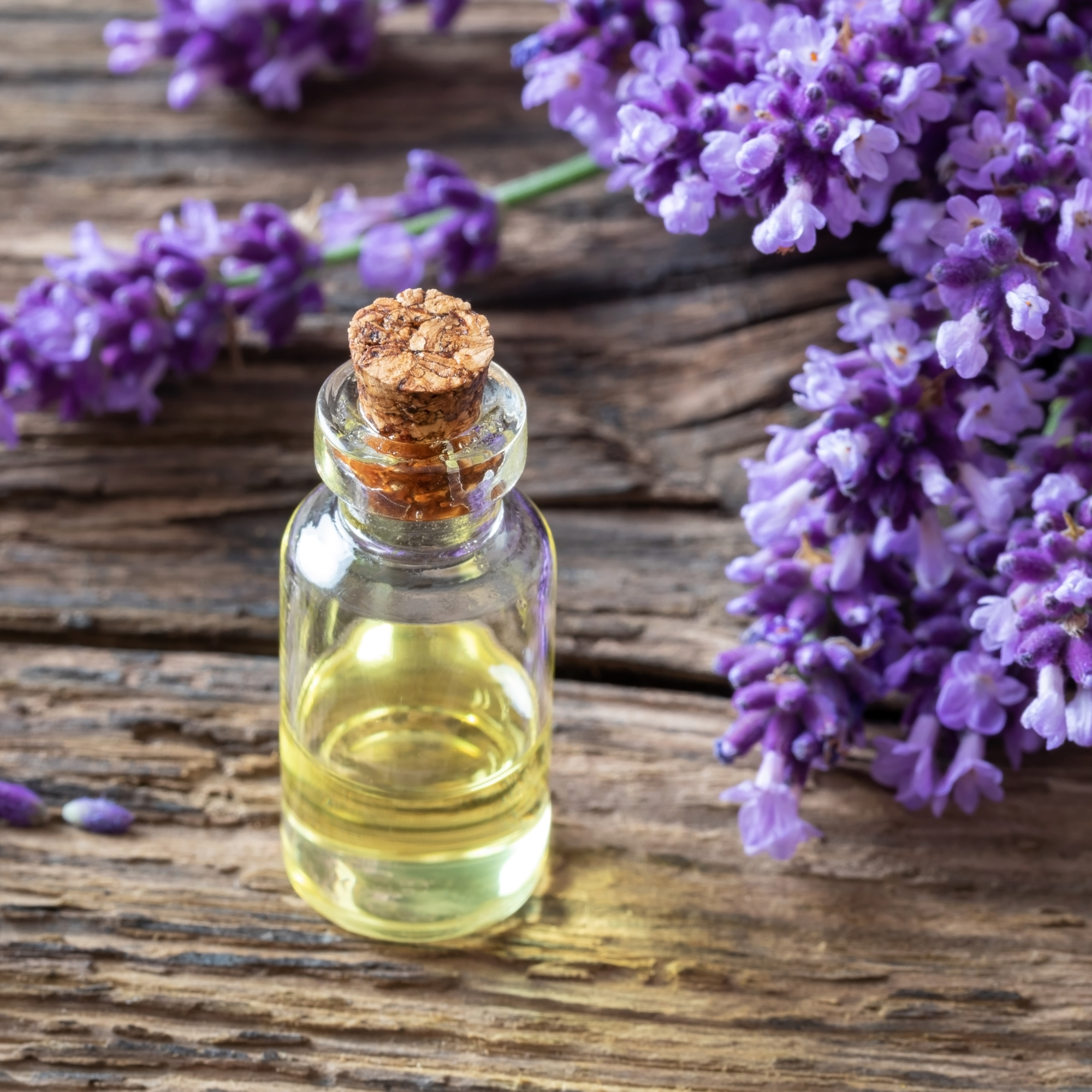 Lavender Essential Oil for Himalayan Bath salts