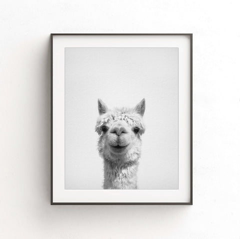 alpaca nursery animal print