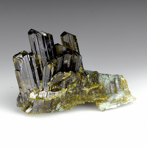 Epidote Pyrite Crystal