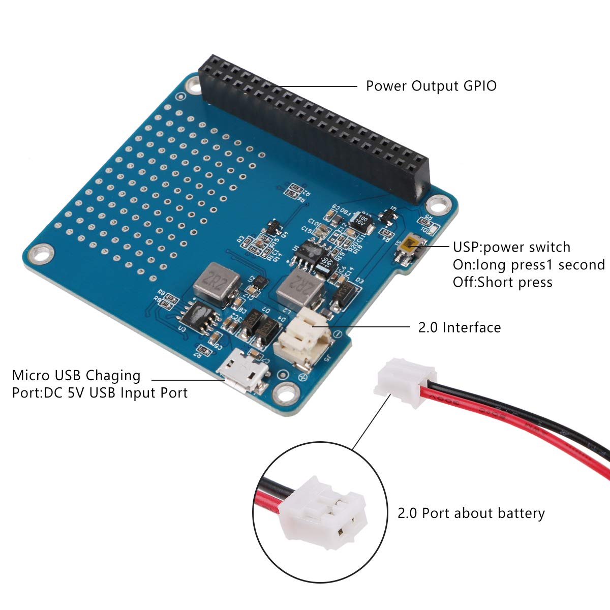 lepton raspberry pi