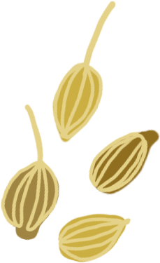 illustration of whole spice